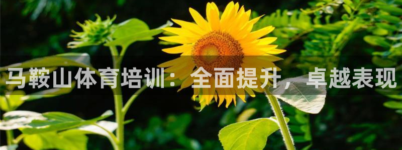 富联平台系 5O6917 富联：马鞍山体育培训：全面