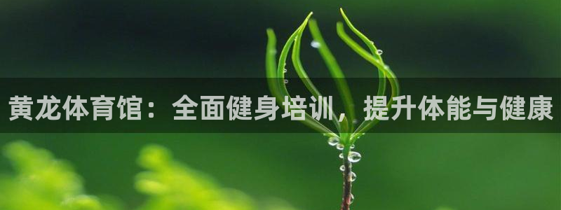 富联娱乐股东名单：黄龙体育馆：全面健身培训，提升体能