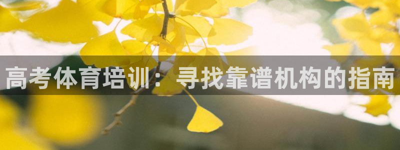 富联平台主管：高考体育培训：寻找靠谱机构的指南