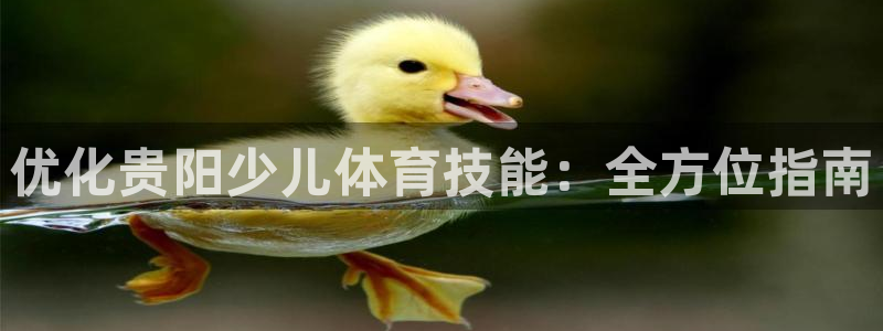 富联是什么：优化贵阳少儿体育技能：全方位指南