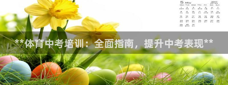 富联娱乐玩法机制：**体育中考培训：全面指南，提升中考表现*