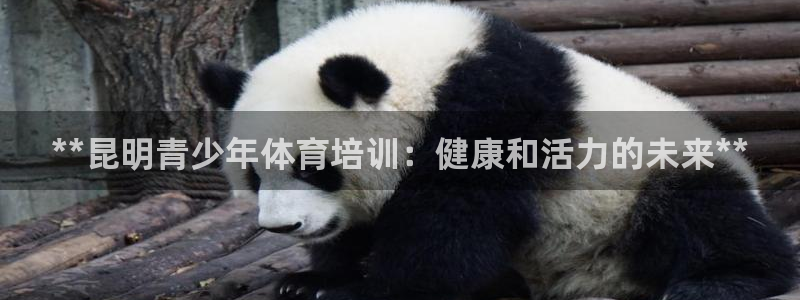 富联官网注册：**昆明青少年体育培训：健康和活力的未