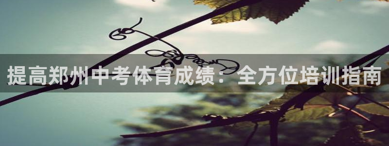 富联工坊：提高郑州中考体育成绩：全方位培训指南