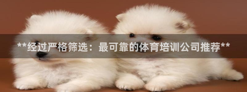 富联平台招商怎么样：**经过严格筛选：最可靠的体育培训公司推